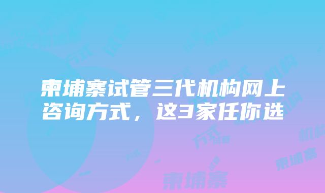 柬埔寨试管三代机构网上咨询方式，这3家任你选