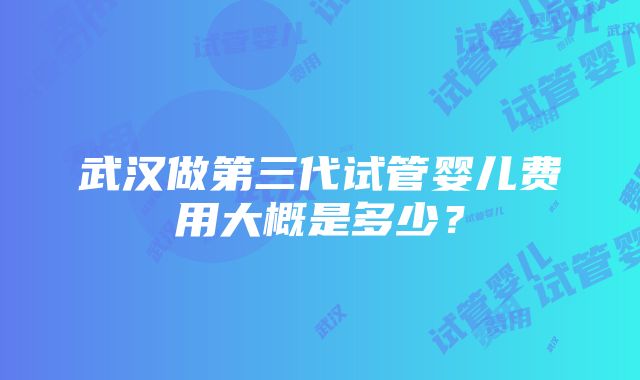 武汉做第三代试管婴儿费用大概是多少？