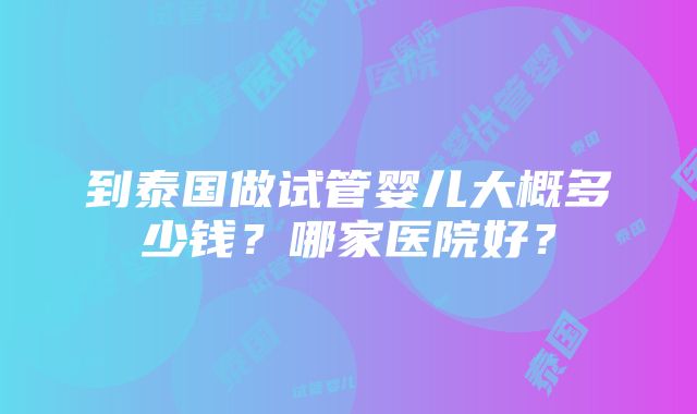 到泰国做试管婴儿大概多少钱？哪家医院好？