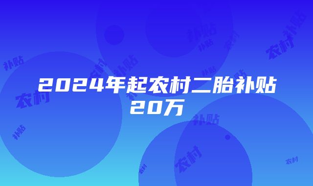 2024年起农村二胎补贴20万