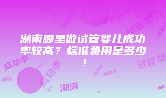 湖南哪里做试管婴儿成功率较高？标准费用是多少！