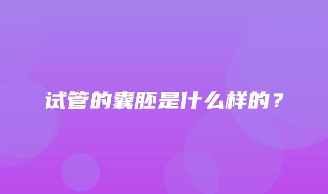 试管的囊胚是什么样的？