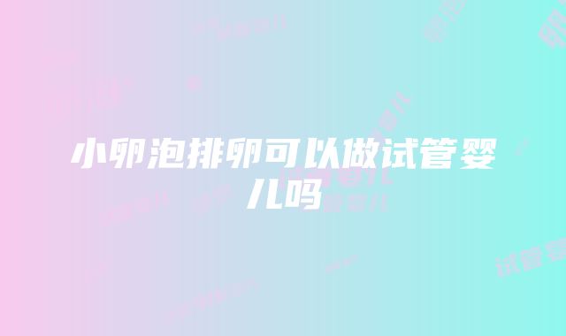 小卵泡排卵可以做试管婴儿吗