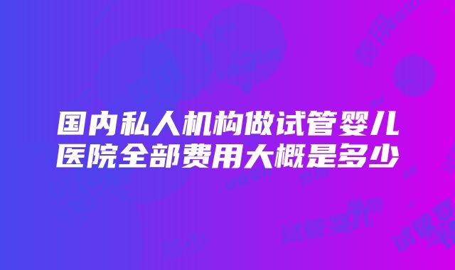 国内私人机构做试管婴儿医院全部费用大概是多少