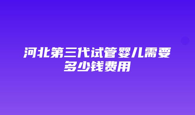 河北第三代试管婴儿需要多少钱费用