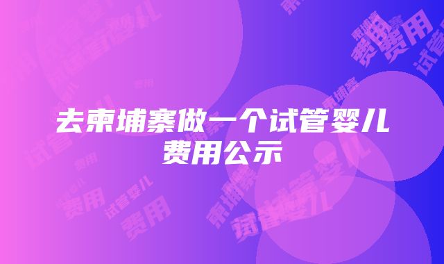 去柬埔寨做一个试管婴儿费用公示