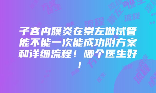 子宫内膜炎在崇左做试管能不能一次能成功附方案和详细流程！哪个医生好！