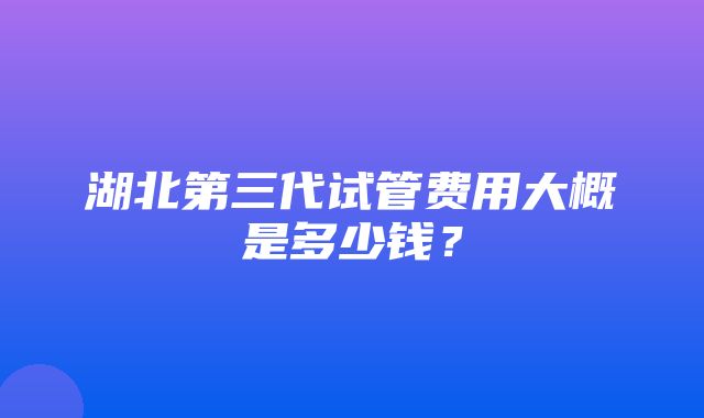 湖北第三代试管费用大概是多少钱？