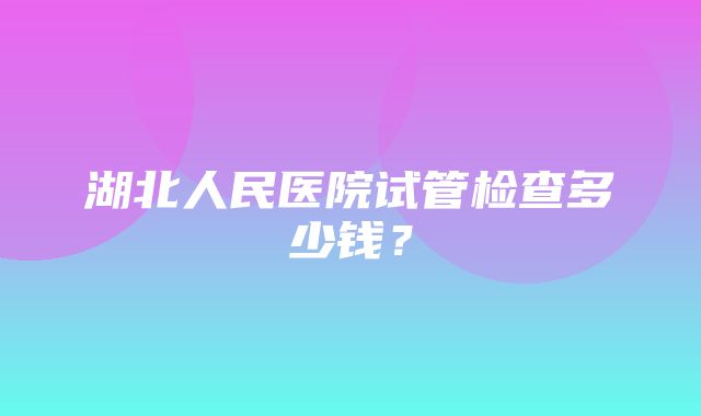 湖北人民医院试管检查多少钱？