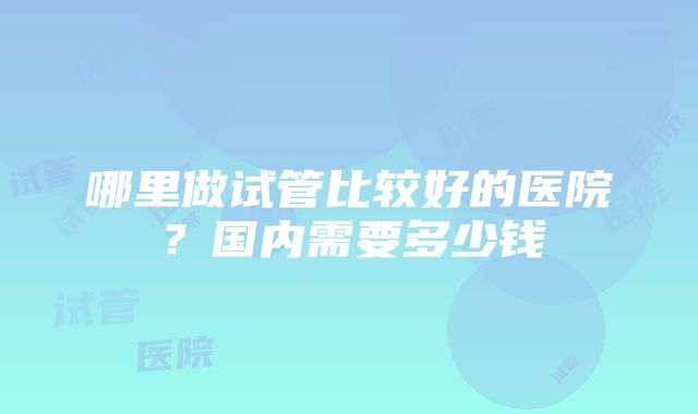 哪里做试管比较好的医院？国内需要多少钱