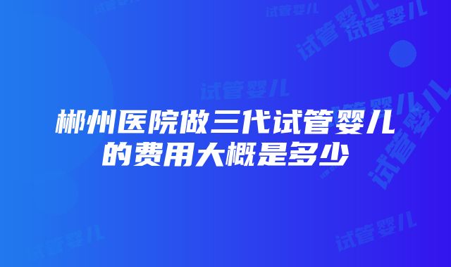 郴州医院做三代试管婴儿的费用大概是多少