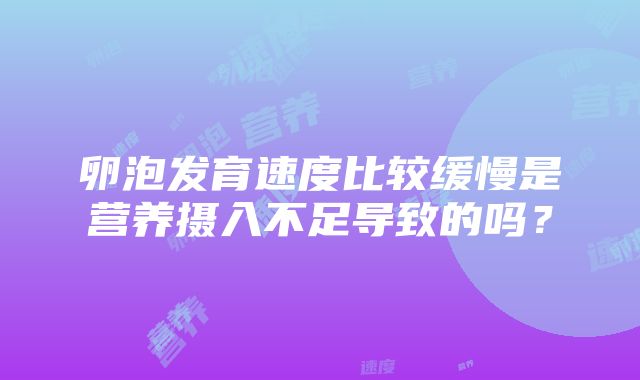 卵泡发育速度比较缓慢是营养摄入不足导致的吗？