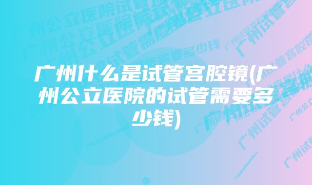 广州什么是试管宫腔镜(广州公立医院的试管需要多少钱)