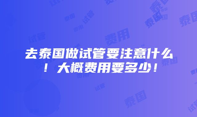 去泰国做试管要注意什么！大概费用要多少！