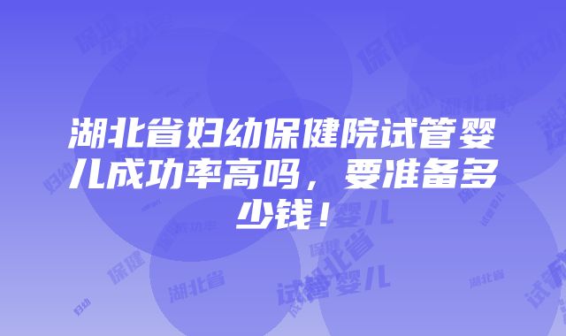 湖北省妇幼保健院试管婴儿成功率高吗，要准备多少钱！