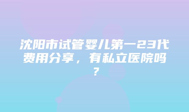 沈阳市试管婴儿第一23代费用分享，有私立医院吗？