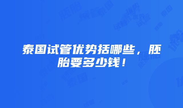 泰国试管优势括哪些，胚胎要多少钱！