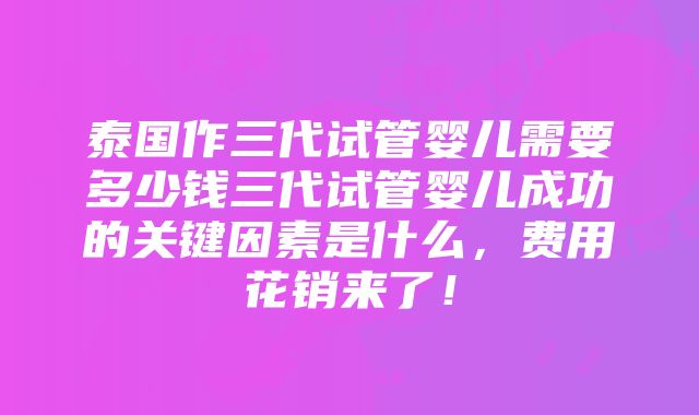 泰国作三代试管婴儿需要多少钱三代试管婴儿成功的关键因素是什么，费用花销来了！