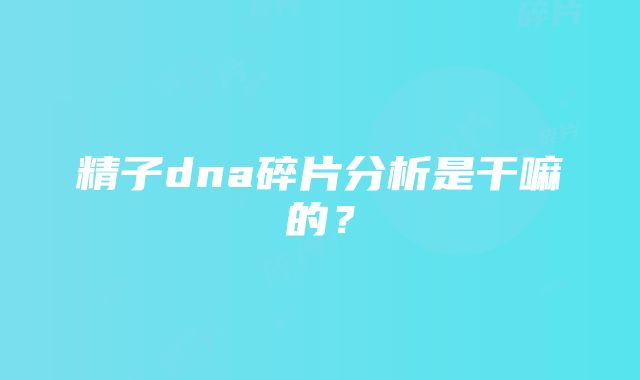 精子dna碎片分析是干嘛的？