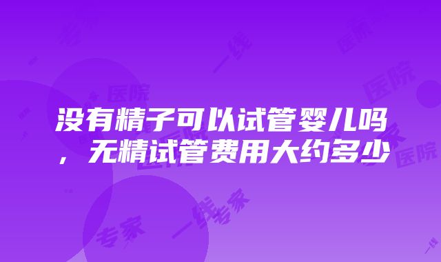 没有精子可以试管婴儿吗，无精试管费用大约多少