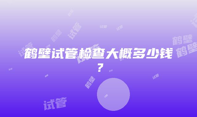 鹤壁试管检查大概多少钱？