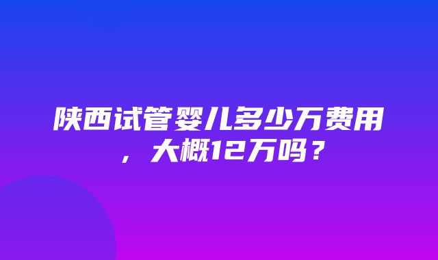 陕西试管婴儿多少万费用，大概12万吗？