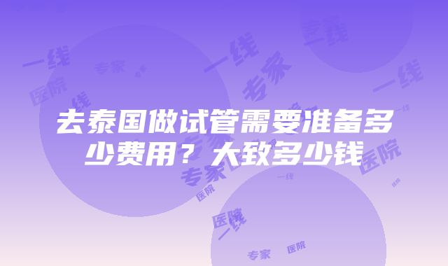 去泰国做试管需要准备多少费用？大致多少钱