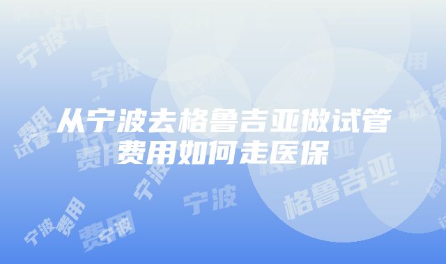 从宁波去格鲁吉亚做试管费用如何走医保