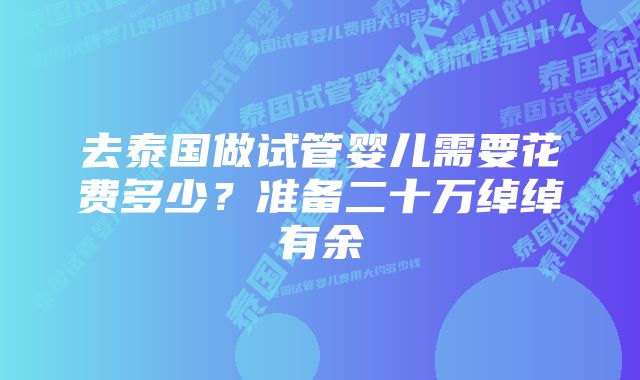 去泰国做试管婴儿需要花费多少？准备二十万绰绰有余