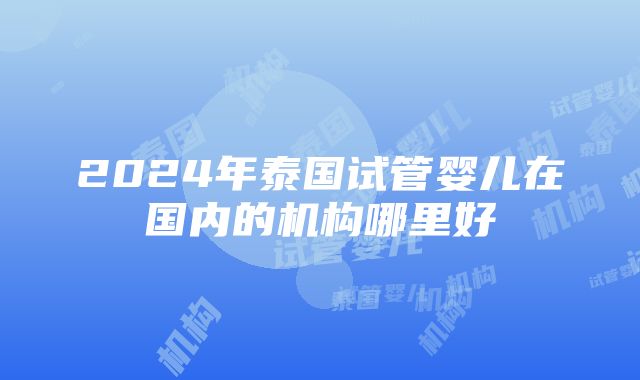 2024年泰国试管婴儿在国内的机构哪里好