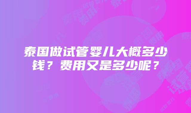 泰国做试管婴儿大概多少钱？费用又是多少呢？