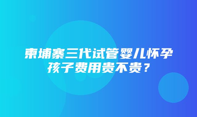 柬埔寨三代试管婴儿怀孕孩子费用贵不贵？