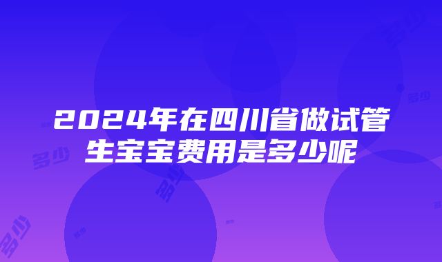 2024年在四川省做试管生宝宝费用是多少呢