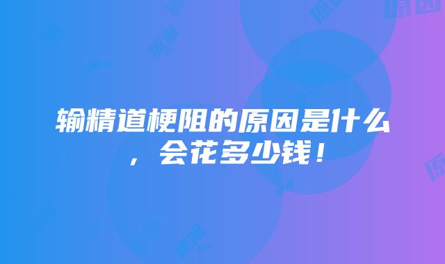 输精道梗阻的原因是什么，会花多少钱！