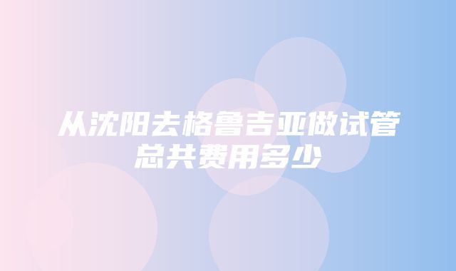 从沈阳去格鲁吉亚做试管总共费用多少