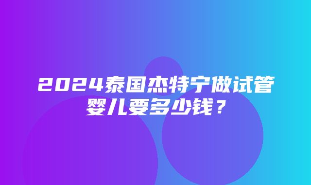 2024泰国杰特宁做试管婴儿要多少钱？