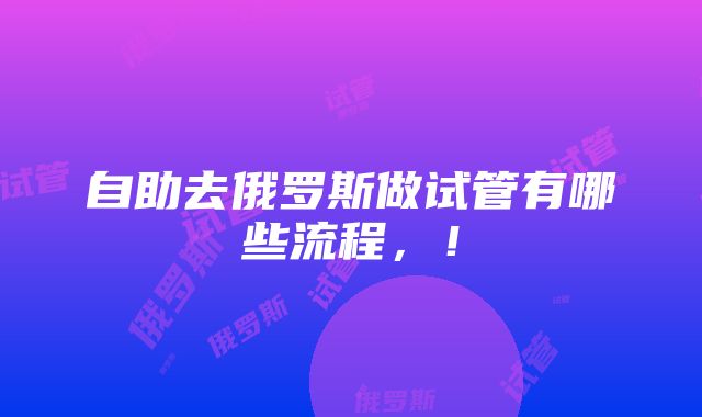 自助去俄罗斯做试管有哪些流程，！