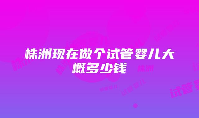 株洲现在做个试管婴儿大概多少钱