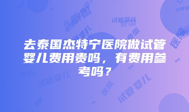 去泰国杰特宁医院做试管婴儿费用贵吗，有费用参考吗？