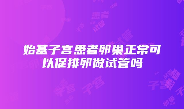 始基子宫患者卵巢正常可以促排卵做试管吗