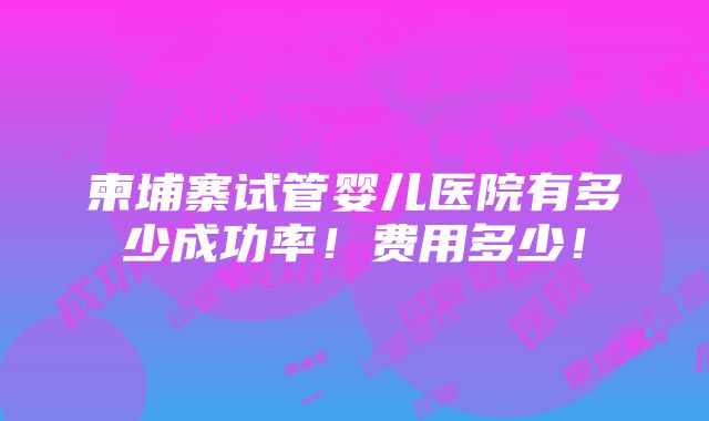 柬埔寨试管婴儿医院有多少成功率！费用多少！