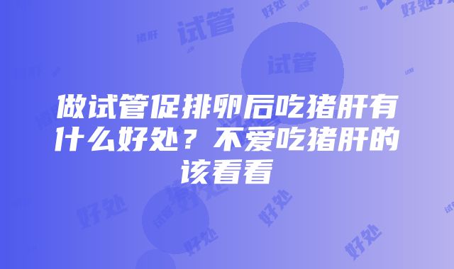 做试管促排卵后吃猪肝有什么好处？不爱吃猪肝的该看看