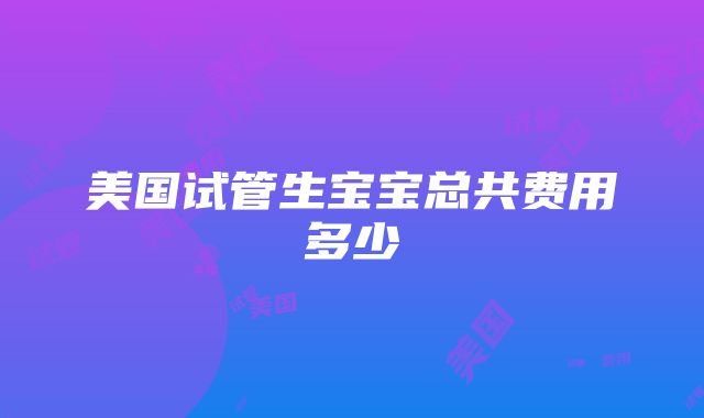 美国试管生宝宝总共费用多少