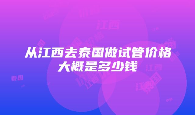 从江西去泰国做试管价格大概是多少钱