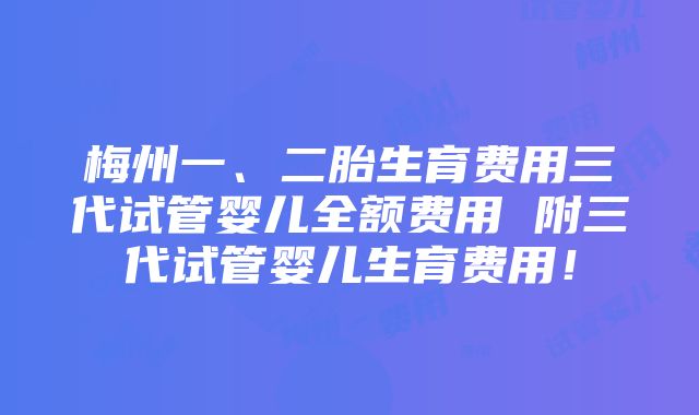 梅州一、二胎生育费用三代试管婴儿全额费用 附三代试管婴儿生育费用！