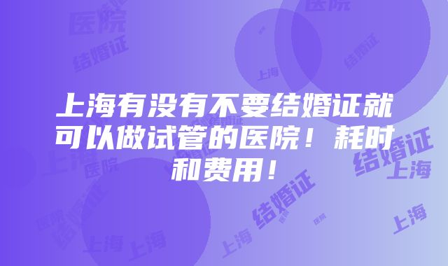 上海有没有不要结婚证就可以做试管的医院！耗时和费用！