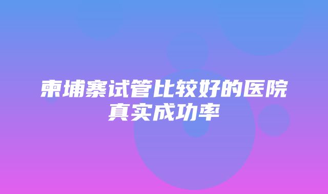 柬埔寨试管比较好的医院真实成功率