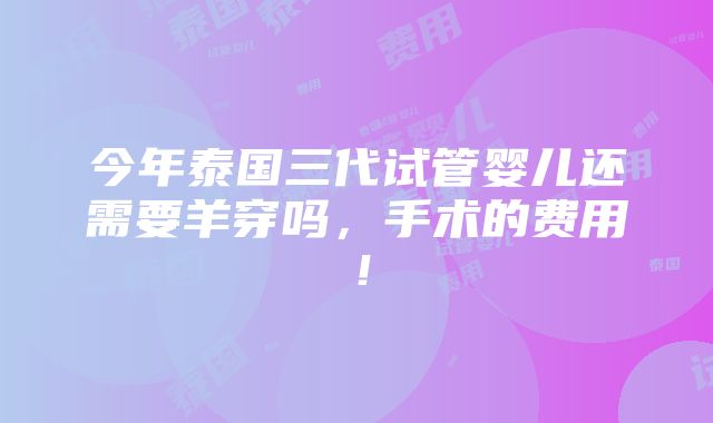 今年泰国三代试管婴儿还需要羊穿吗，手术的费用！