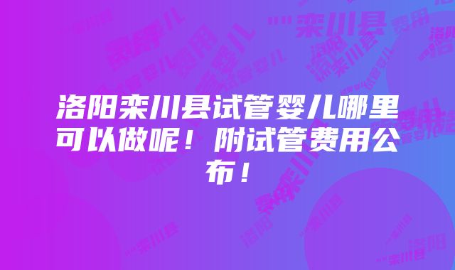 洛阳栾川县试管婴儿哪里可以做呢！附试管费用公布！