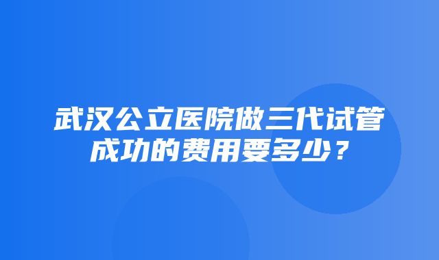 武汉公立医院做三代试管成功的费用要多少？